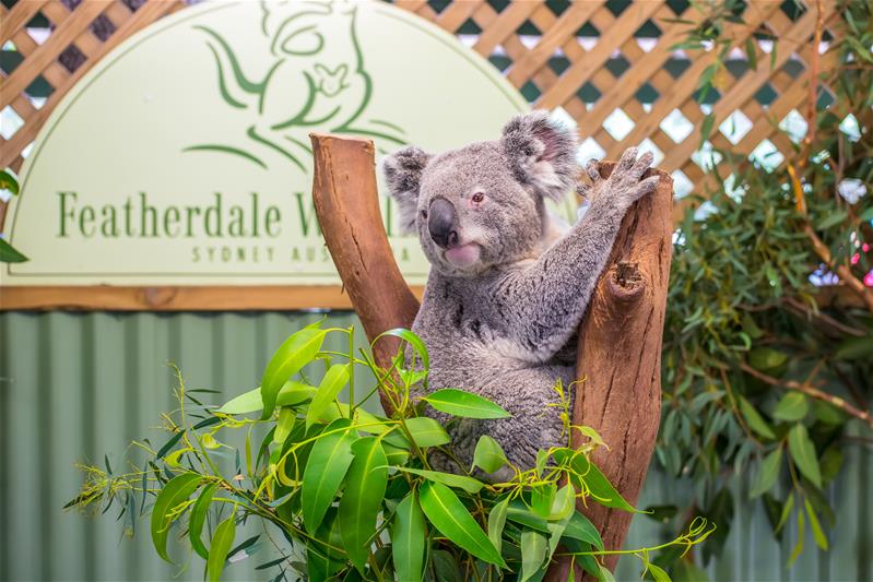 Melbourne – Ngày Tự Do                                                  